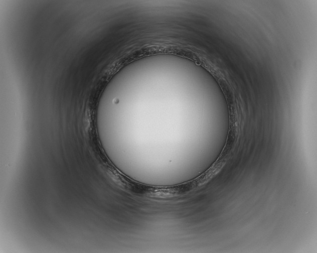 X0000116420758200912081159