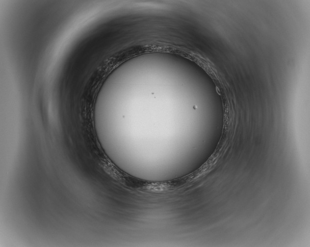 X0000116420762200912081159