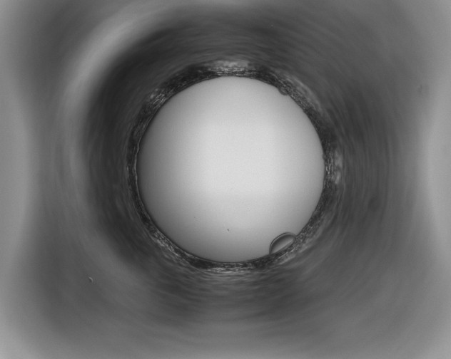 X0000116420763200912081159