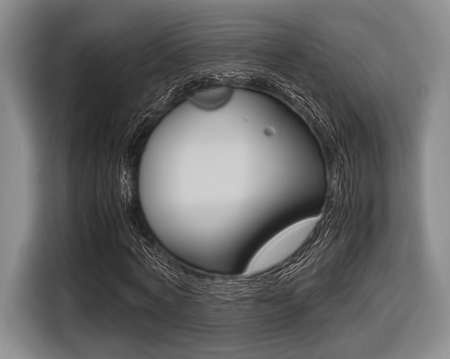 X0000116420772200912081159