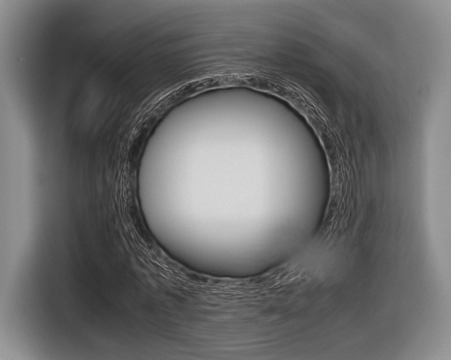 X0000116420773200912081159