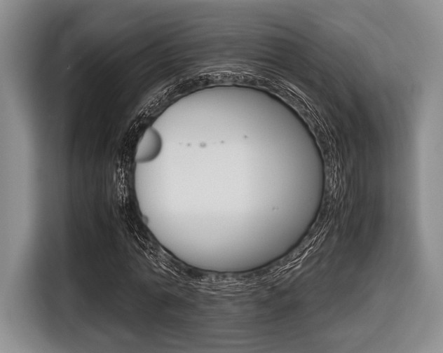 X0000116420774200912081159