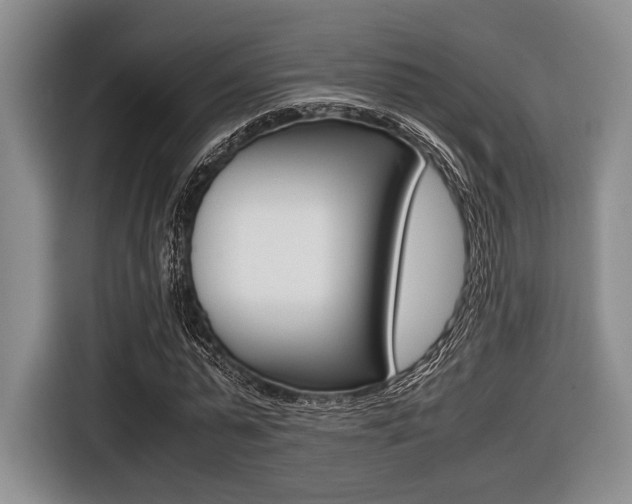 X0000116420775200912081159