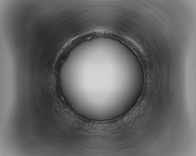 X0000116420776200912081159