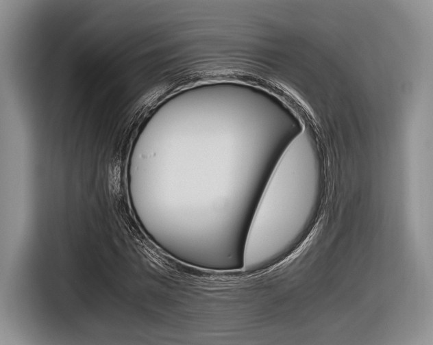 X0000116420777200912081159