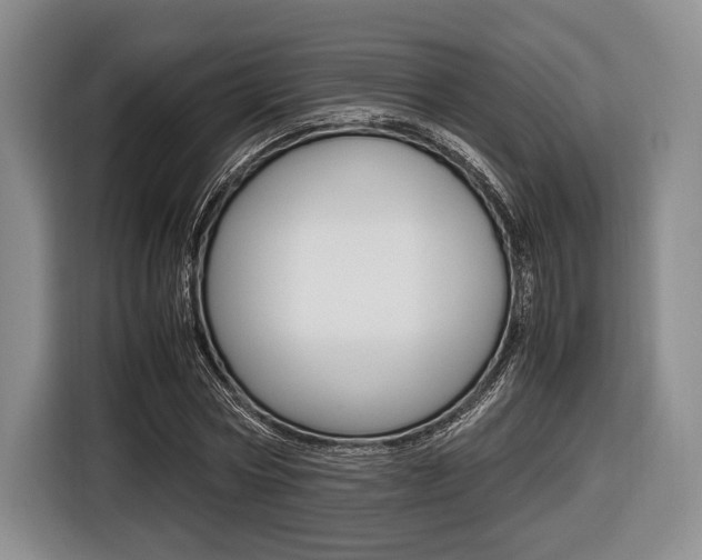 X0000116420778200912081159