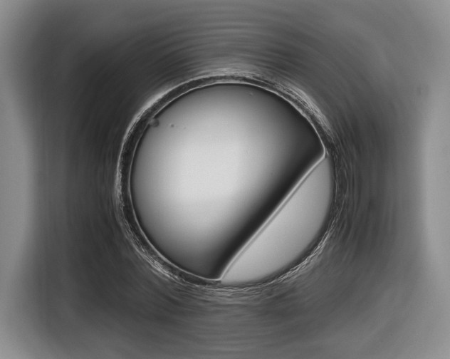 X0000116420780200912081159