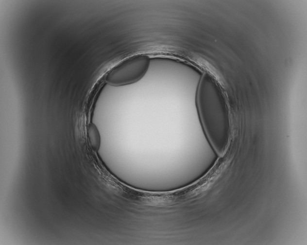 X0000116420781200912081159