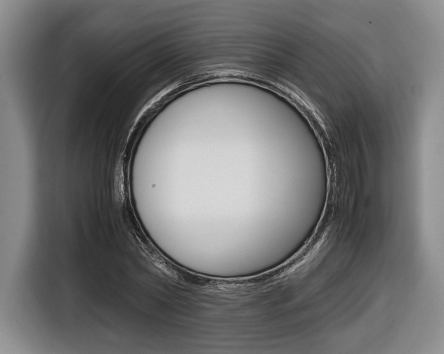X0000116420782200912081159