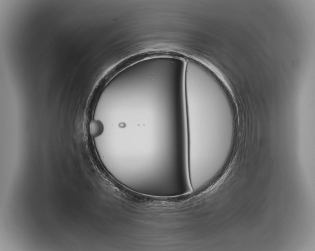 X0000116420783200912081159