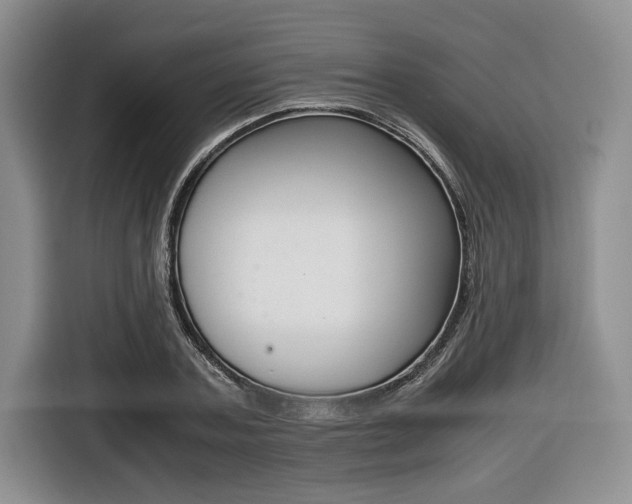 X0000116420787200912081159
