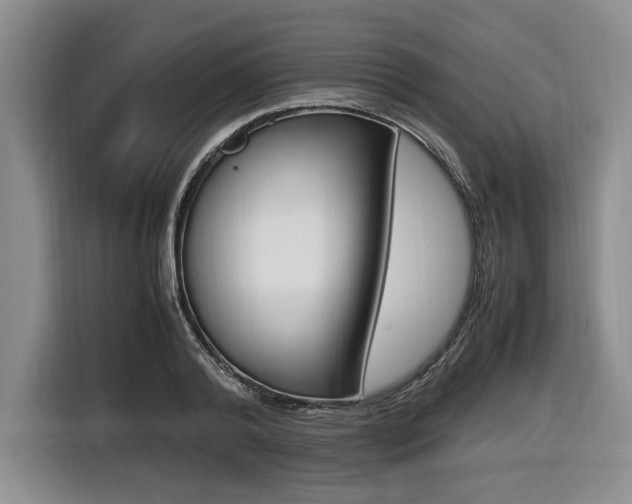 X0000116420792200912081159