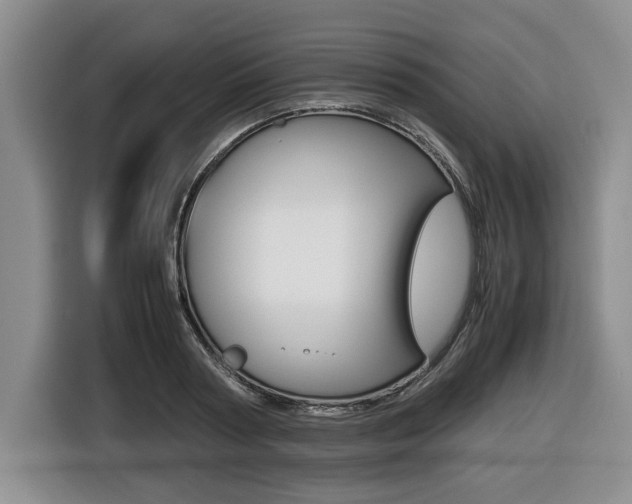 X0000116420794200912081159