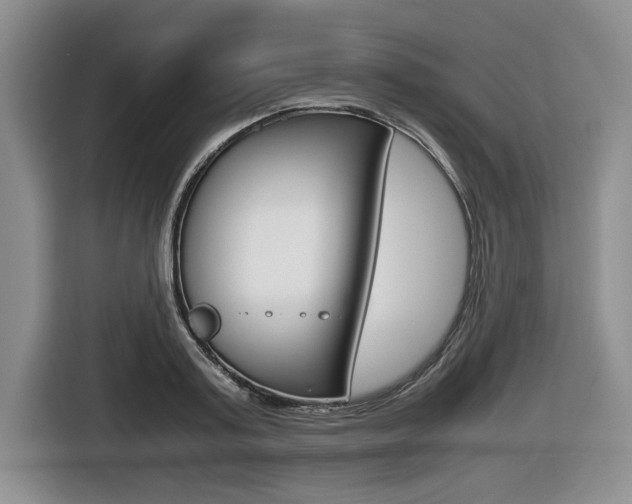 X0000116420795200912081158