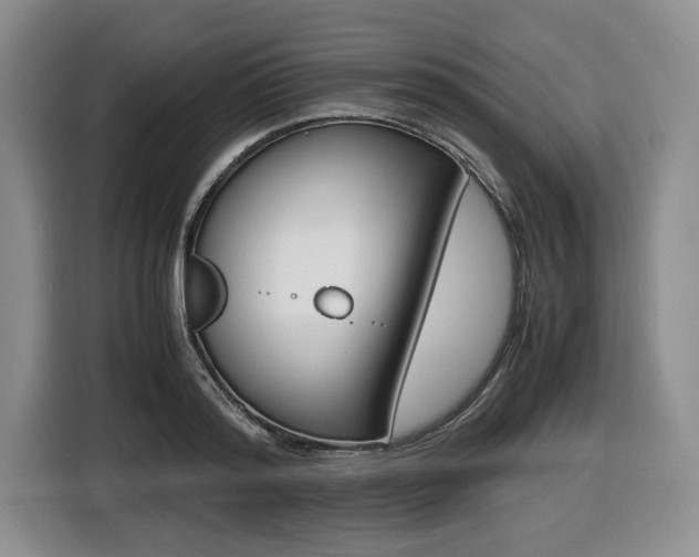 X0000116420796200912081158