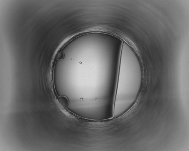 X0000116420800200912081158
