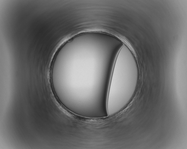 X0000116420805200912081158