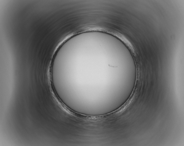 X0000116420806200912081158