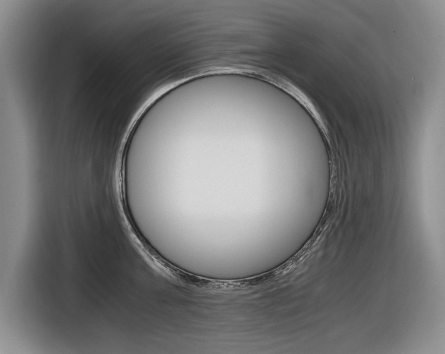 X0000116420811200912081158
