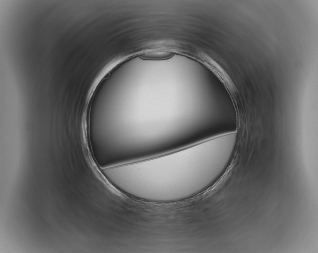 X0000116420812200912081158