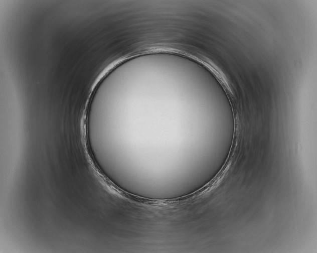 X0000116420814200912081158