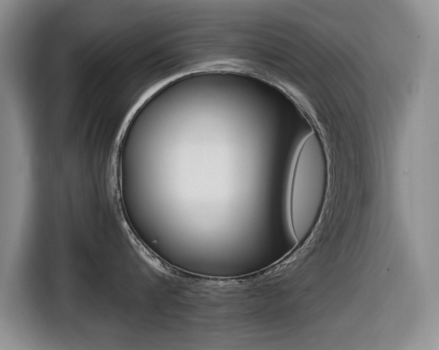X0000116420816200912081158