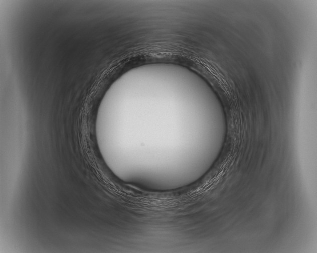 X0000116420817200912081158