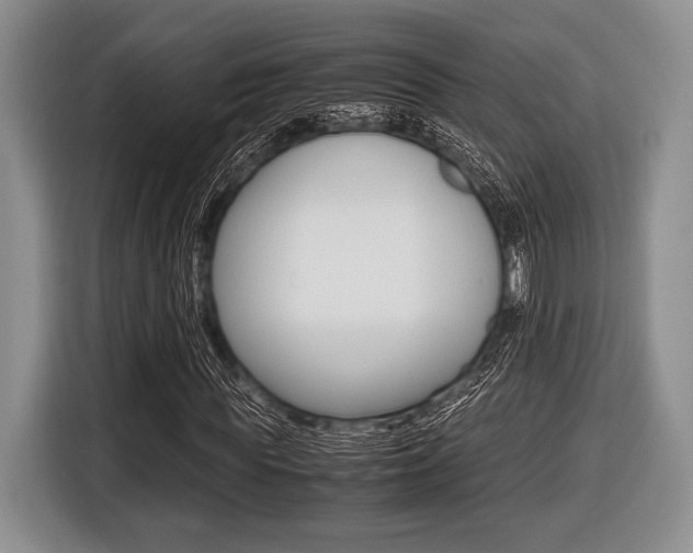 X0000116420819200912081158