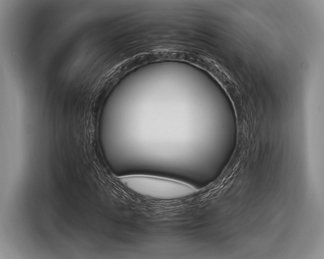 X0000116420821200912081158