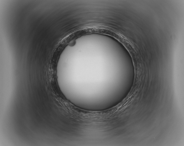 X0000116420822200912081158