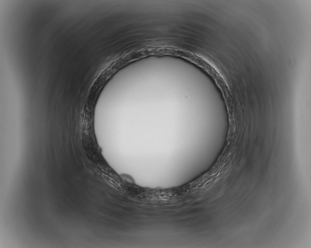 X0000116420823200912081158