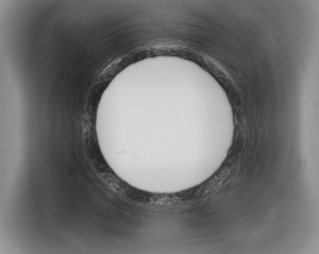 X0000116420824200912081158
