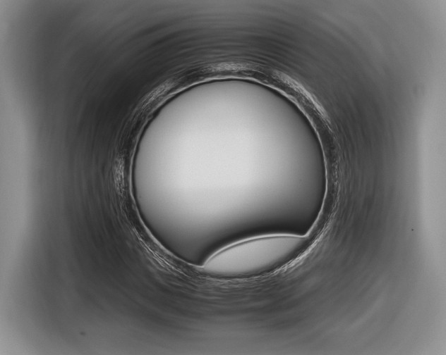 X0000116420825200912081158