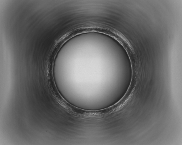 X0000116420826200912081158