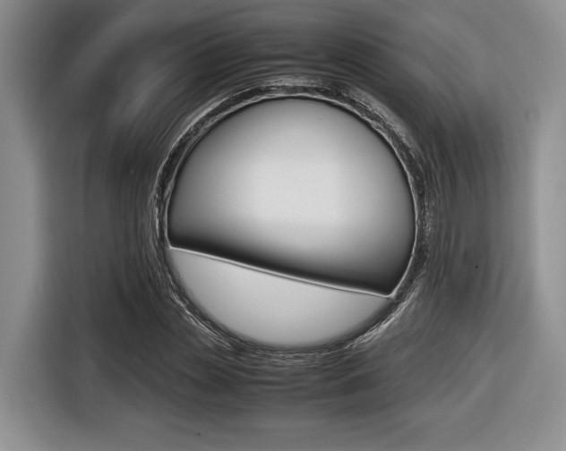 X0000116420829200912081158