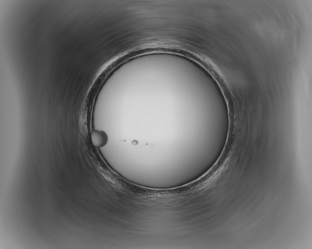 X0000116420830200912081158