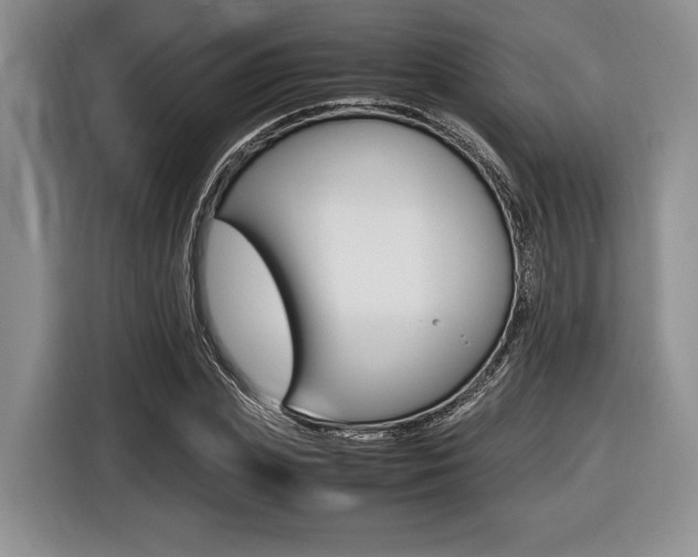 X0000116420831200912081158