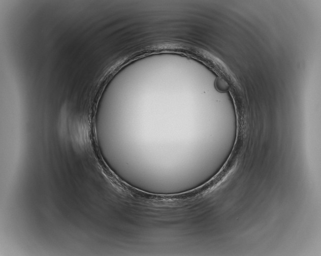 X0000116420833200912081158