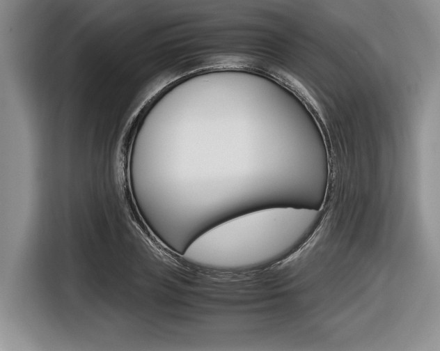 X0000116420835200912081158