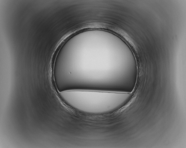 X0000116420837200912081158