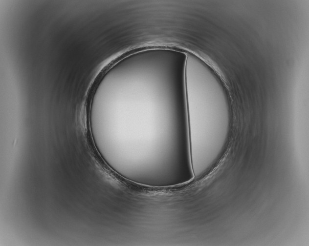 X0000116420838200912081158