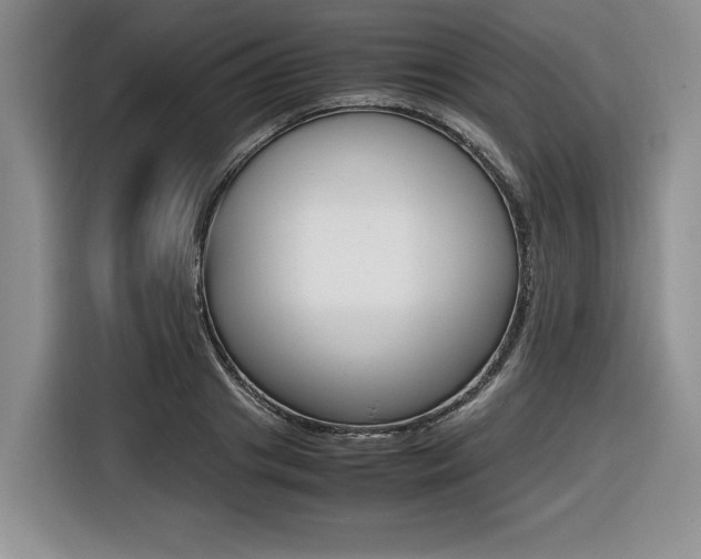 X0000116420841200912081158