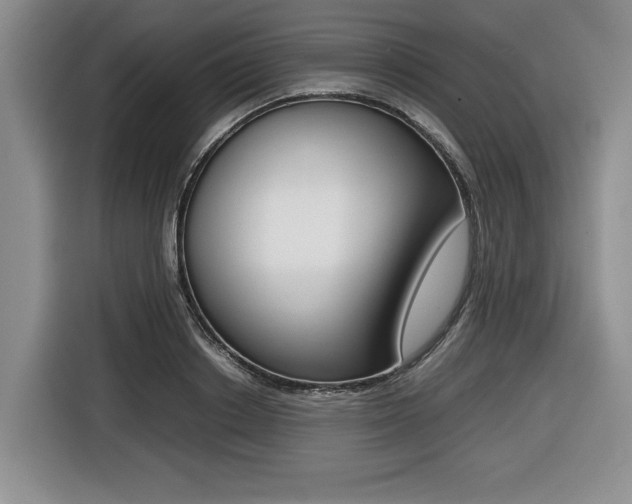 X0000116420842200912081158