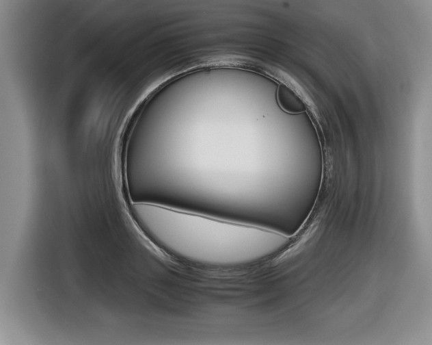 X0000116420843200912081158