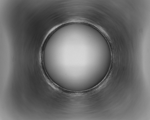 X0000116420846200912081158