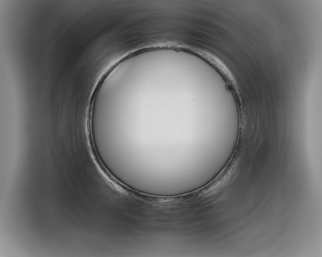 X0000116420847200912081158
