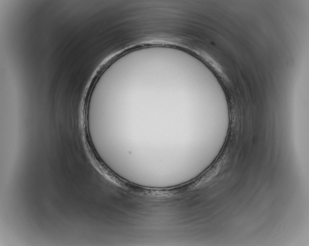 X0000116420848200912081158