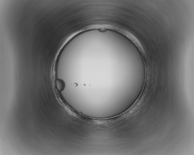X0000116420852200912081158