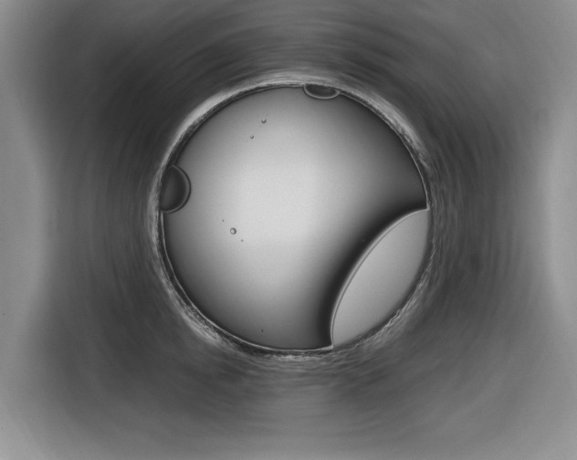 X0000116420854200912081158