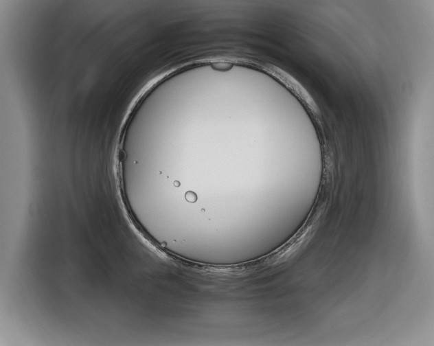 X0000116420855200912081158